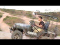 300cc 2wd गो कार्ट