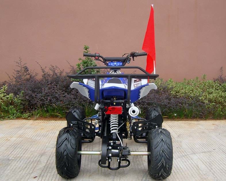 वयस्कों के लिए फ्रंट / रियर डिस्क ब्रेक फोर व्हीलर, 110cc फोर व्हीलर इलेक्ट्रिक स्टार्ट