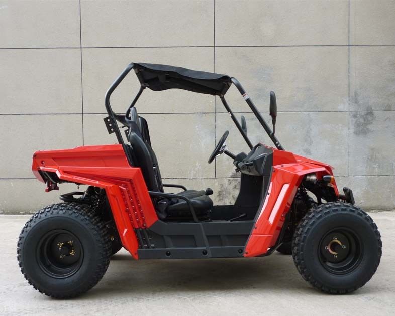 बच्चों / वयस्कों EEC EPA डॉट के लिए Footbrake / हाइड्रोलिक डिस्क 150cc गैस उपयोगिता वाहन