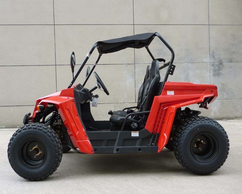 बच्चों / वयस्कों EEC EPA डॉट के लिए Footbrake / हाइड्रोलिक डिस्क 150cc गैस उपयोगिता वाहन
