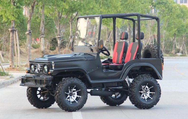 मिनी जीप 4WD रेसिंग एटीवी स्पोर्ट्स गो कार्ट बुगी एडल्ट के लिए, 300 सीसी गो कार्ट