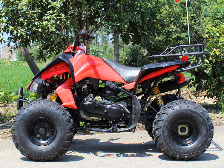 200cc फोर व्हील एटीवी, 8 