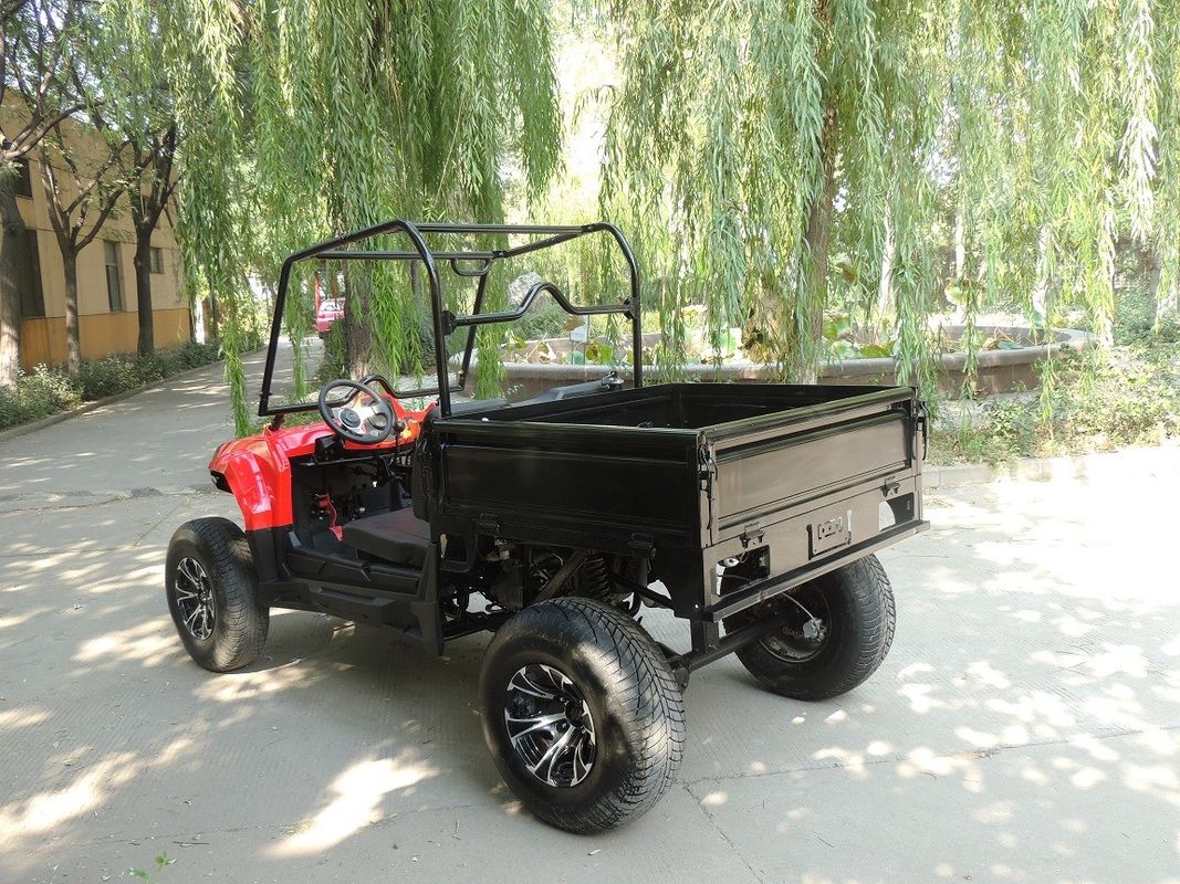 एकल सिलेंडर गैस उपयोगिता वाहन 2X4 ड्राइवलाइन टाइप 250cc 4 स्ट्रोक