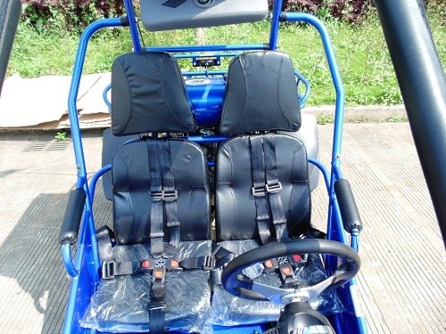 2.25 गैल 17.4 HP CDI इग्निशन 300cc CVT EFI गो कार्ट बुग्गी