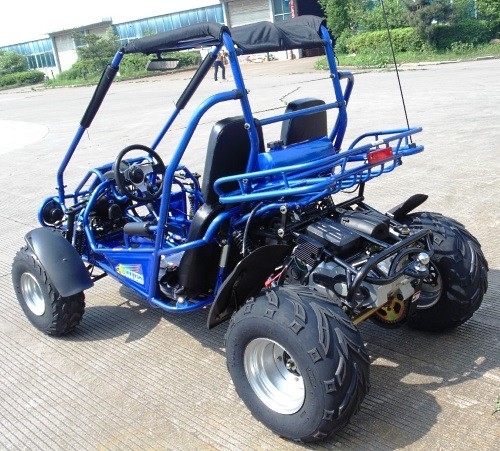 2.25 गैल 17.4 HP CDI इग्निशन 300cc CVT EFI गो कार्ट बुग्गी