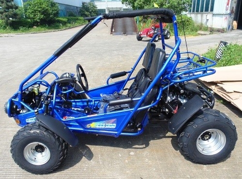 2.25 गैल 17.4 HP CDI इग्निशन 300cc CVT EFI गो कार्ट बुग्गी